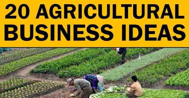 Agri-Tech Business Ideas: खेती से कमाई का नया तरीका, जानिए पूरा प्लान